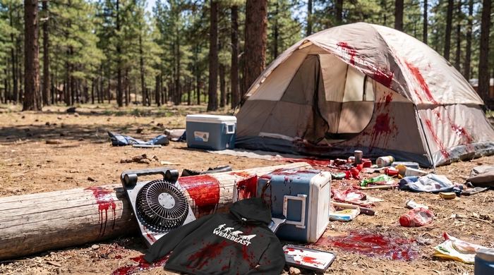 Site 14 - Coconino NF