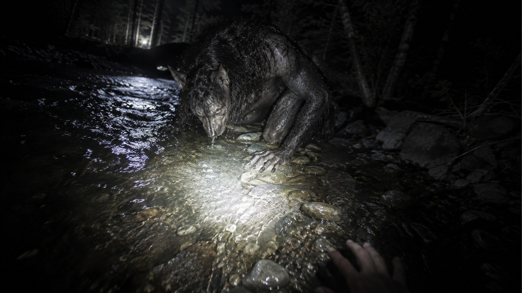 Creek Bed, First Person